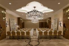 DELPHIN IMPERIAL Meetings
